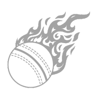 Icon Cricket