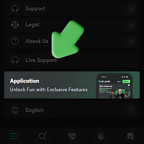 Instruction Find the "Application" section