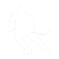 Icon Ice hockey