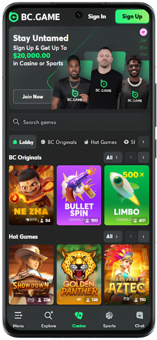 BC Game Screenshot of the casino game