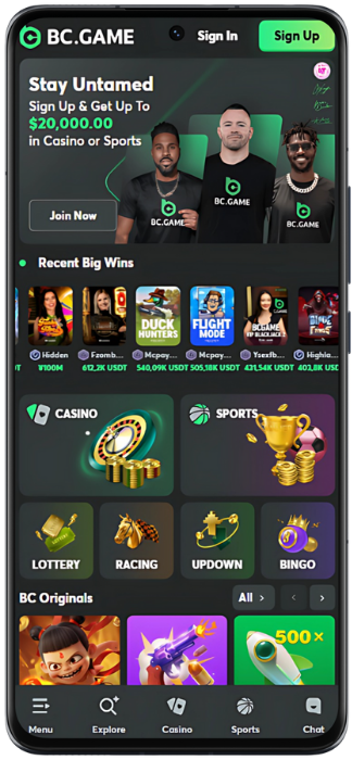 BC Game Screenshot of the website